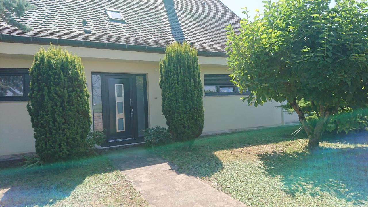 Logement Entier: Route Des Vins.Wintzenheim Exterior foto